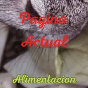 Menu alimentacion pagina actual