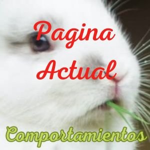 Menu comportamientos pagina actual