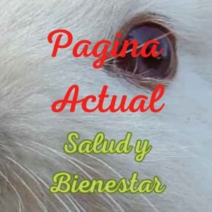 Menu salud y bienestar pagina actual